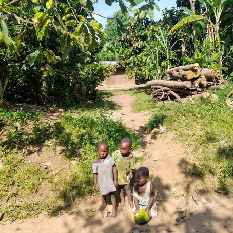 Layers of Life Here in Uganda (Update #2)