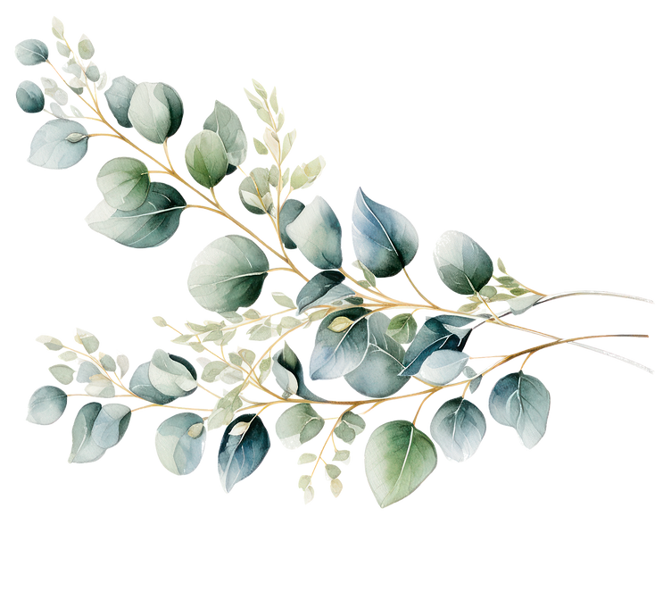 floral eucalyptus vector flower_edited.png