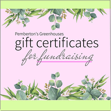 fundraising gift certificate generic squ