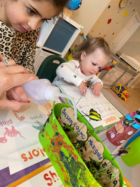 IMG-4049.jpg