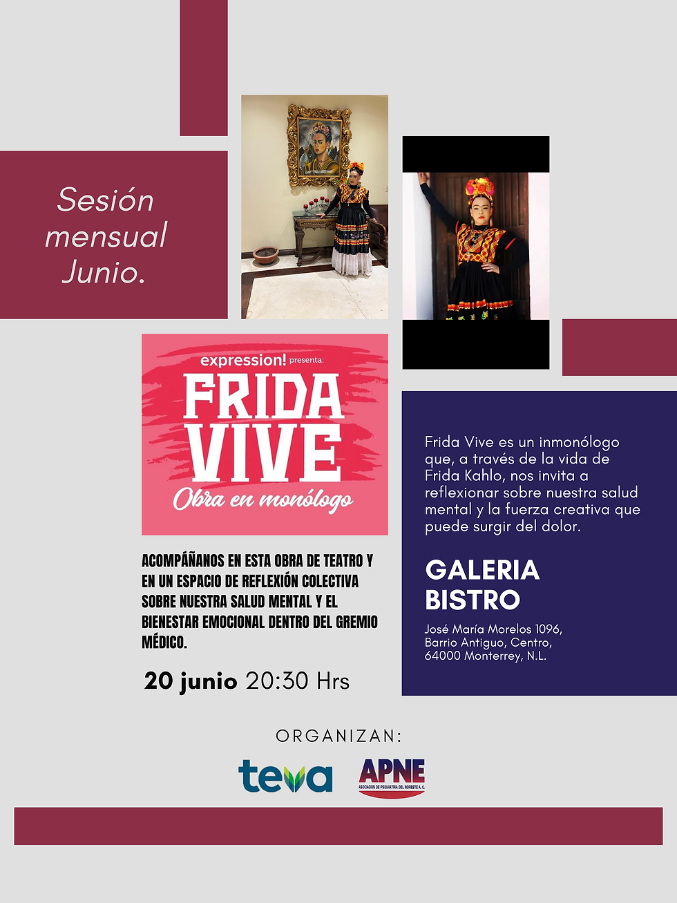Sesión APNE Junio 2024 - Obra de teatro y reflexión.