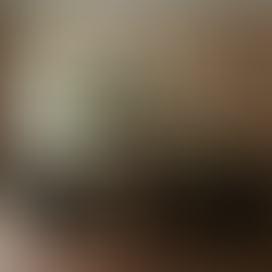 Buying in a Historic Building: Pros, Cons, and Costs