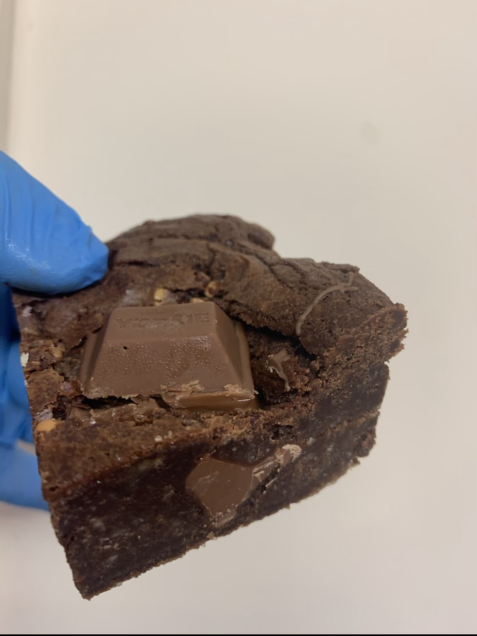 Thumbnail: The Yorkie Brownie 