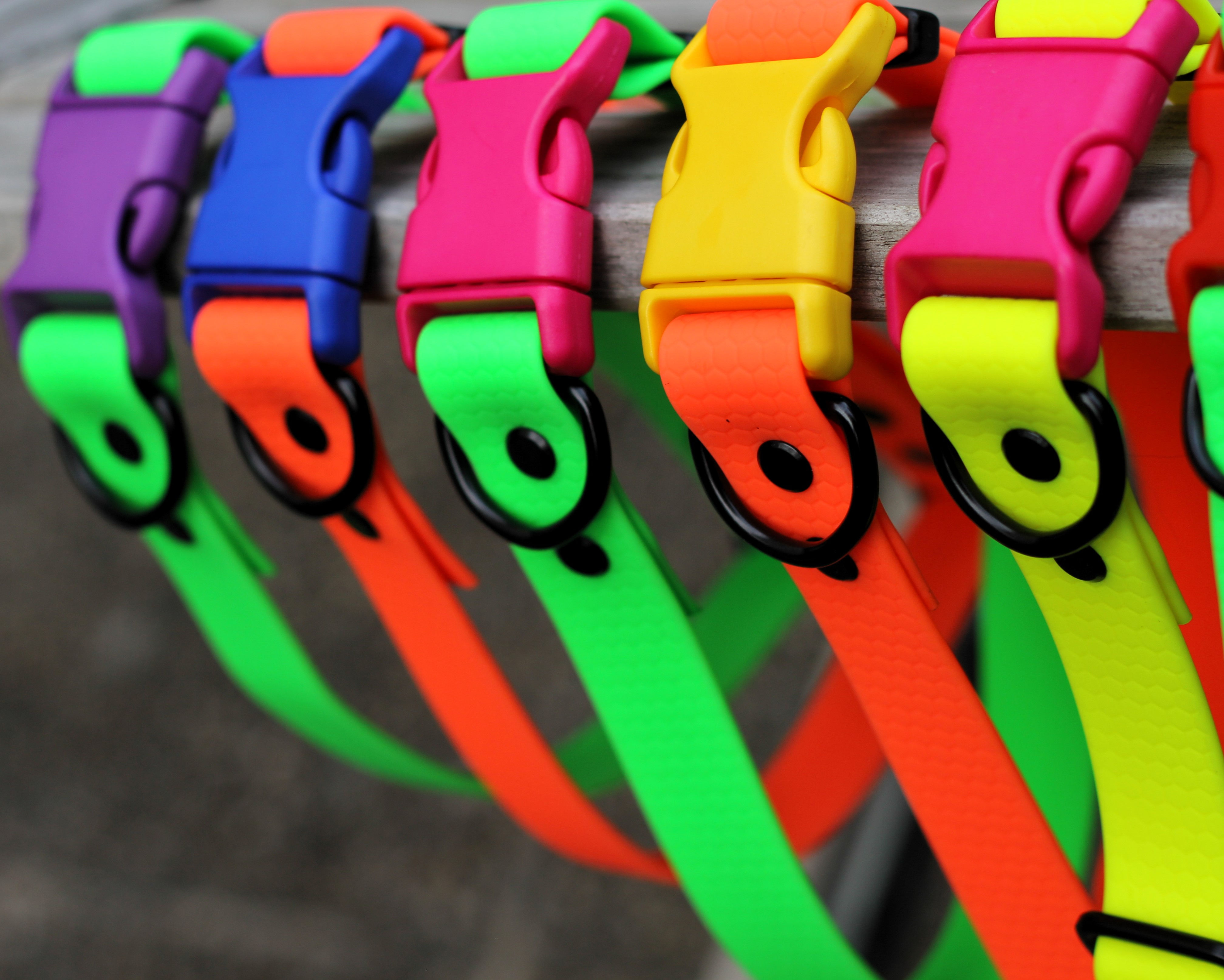 Sommer-Plansch-Wauwau -Halsband