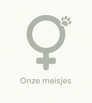 ChatGPT Image 2 okt 2025, 10_10_50.png