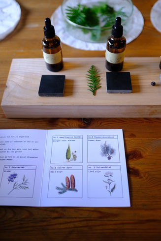 explanation what kind of plant elixers