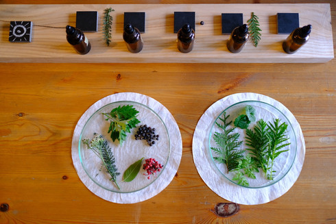 Display of different plant elixers in order to infuse water with