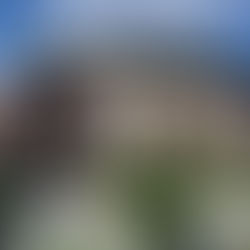 Jen Pawol: Making History as MLB's First Female Umpire