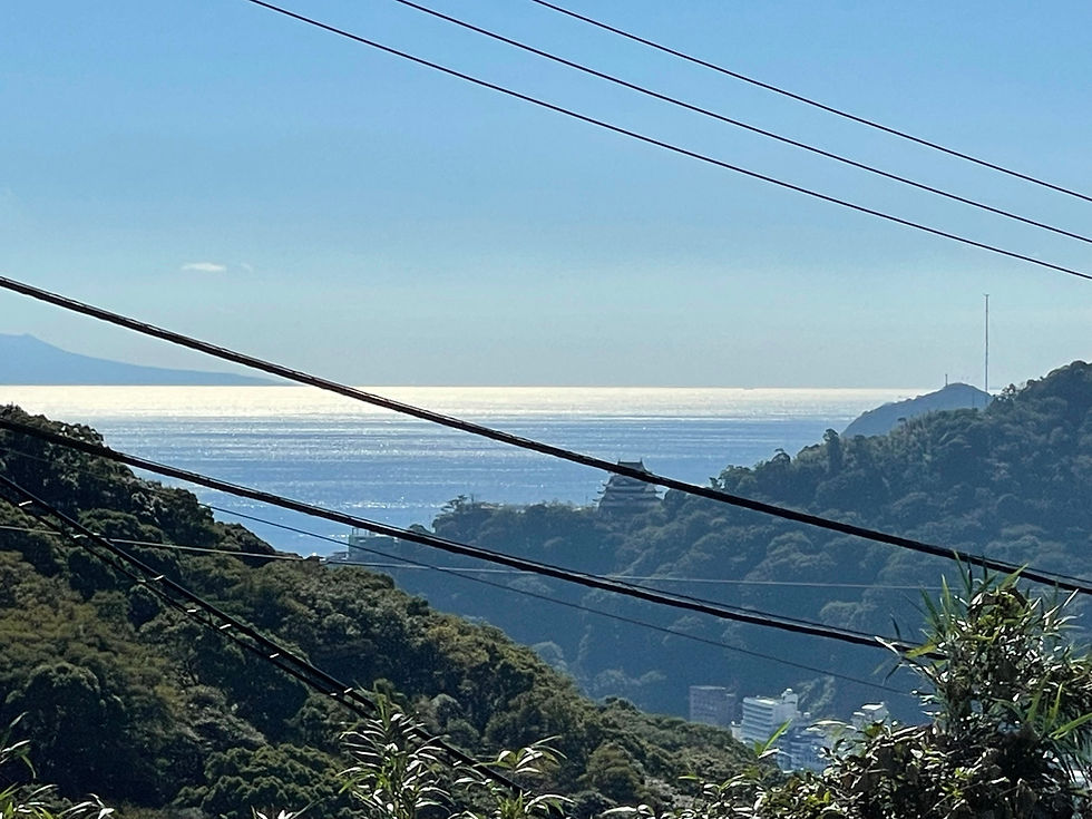 熱海の風を感じる
海が見える高台地