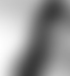 Nicole Lombardi, Vice