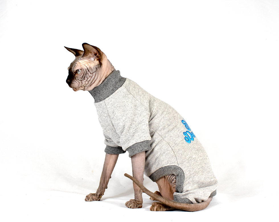 Miniatura: Tutina per Gatti Sphynx - No Hair