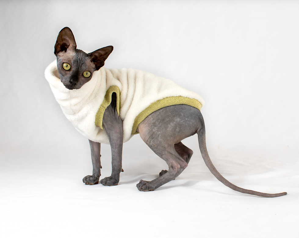 Miniatura: Pile per Gatti Sphynx - MILK