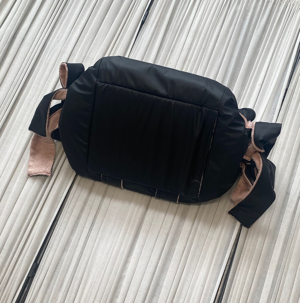 Miniatura: BORCUCCIA  Borsa trasportino per cani e gatti
