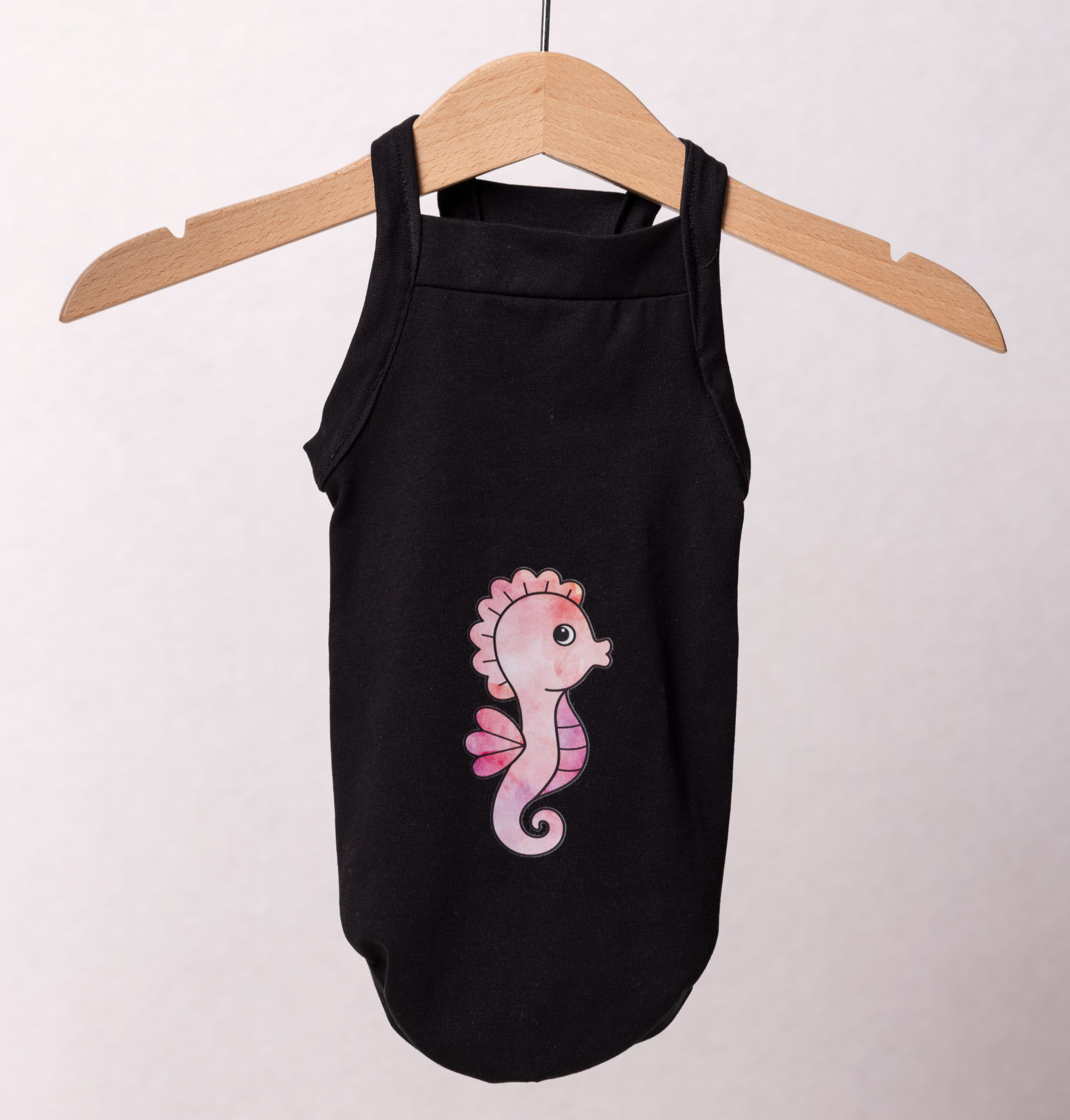 CANOTTA NOEMI - CAVALLUCCIO MARINO