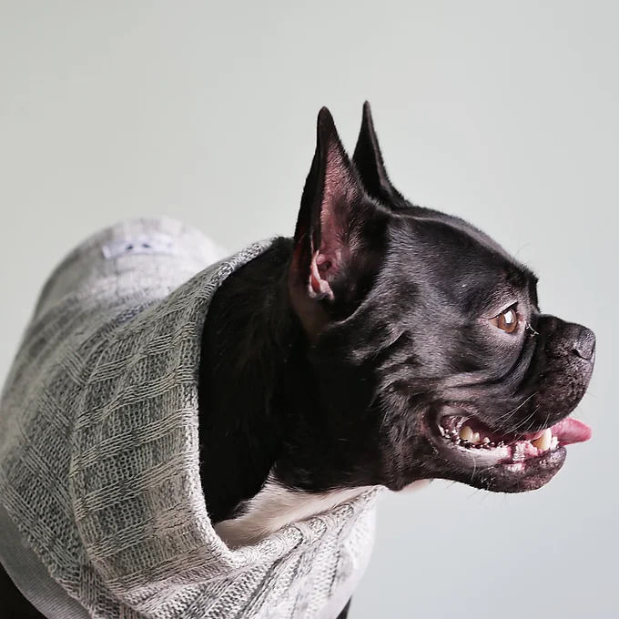 MAGLIONCINO COSTA INGLESE