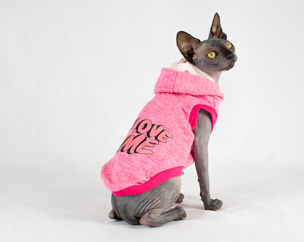 Miniatura: Felpa per Gatti Sphynx - LOVE ME