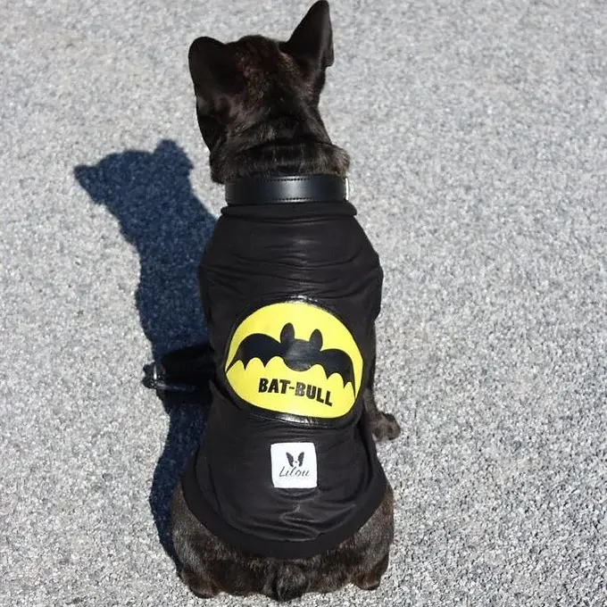 Miniatura: T-SHIRT BAT-BULL