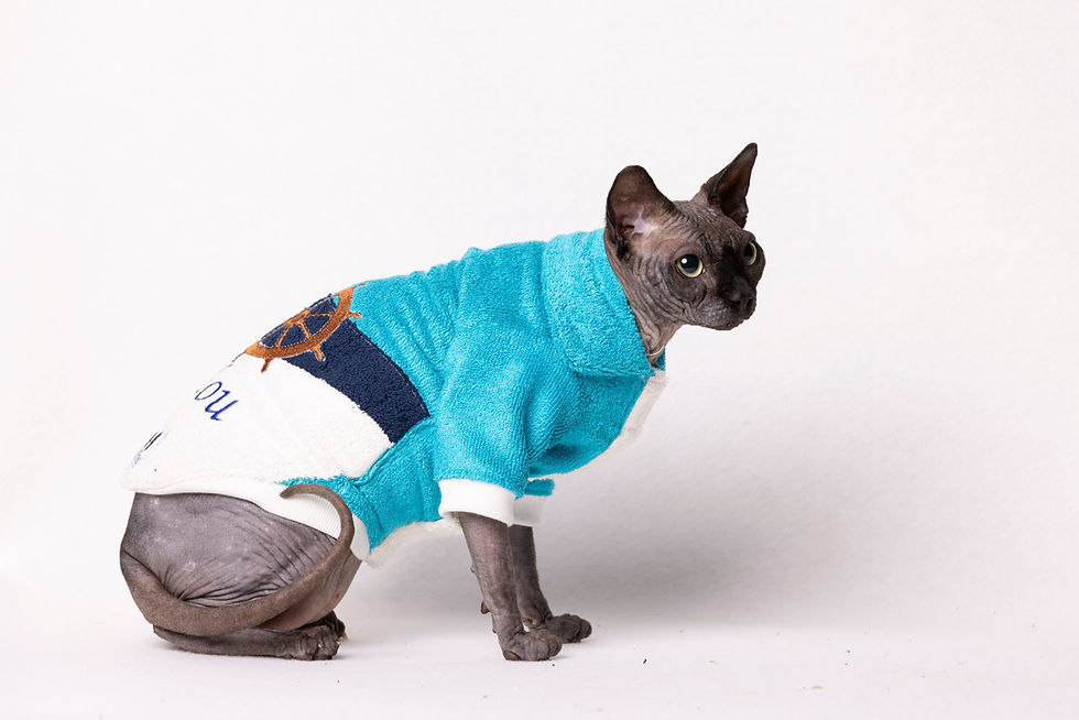 Miniatura: CAPPOTTINO PER GATTI ALTHEA