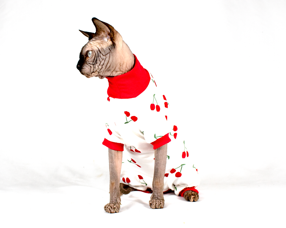 Miniatura: Pigiamino per Gatti Sphynx - CHERRY