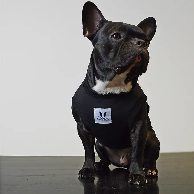 Miniatura: T-SHIRT BAT-BULL