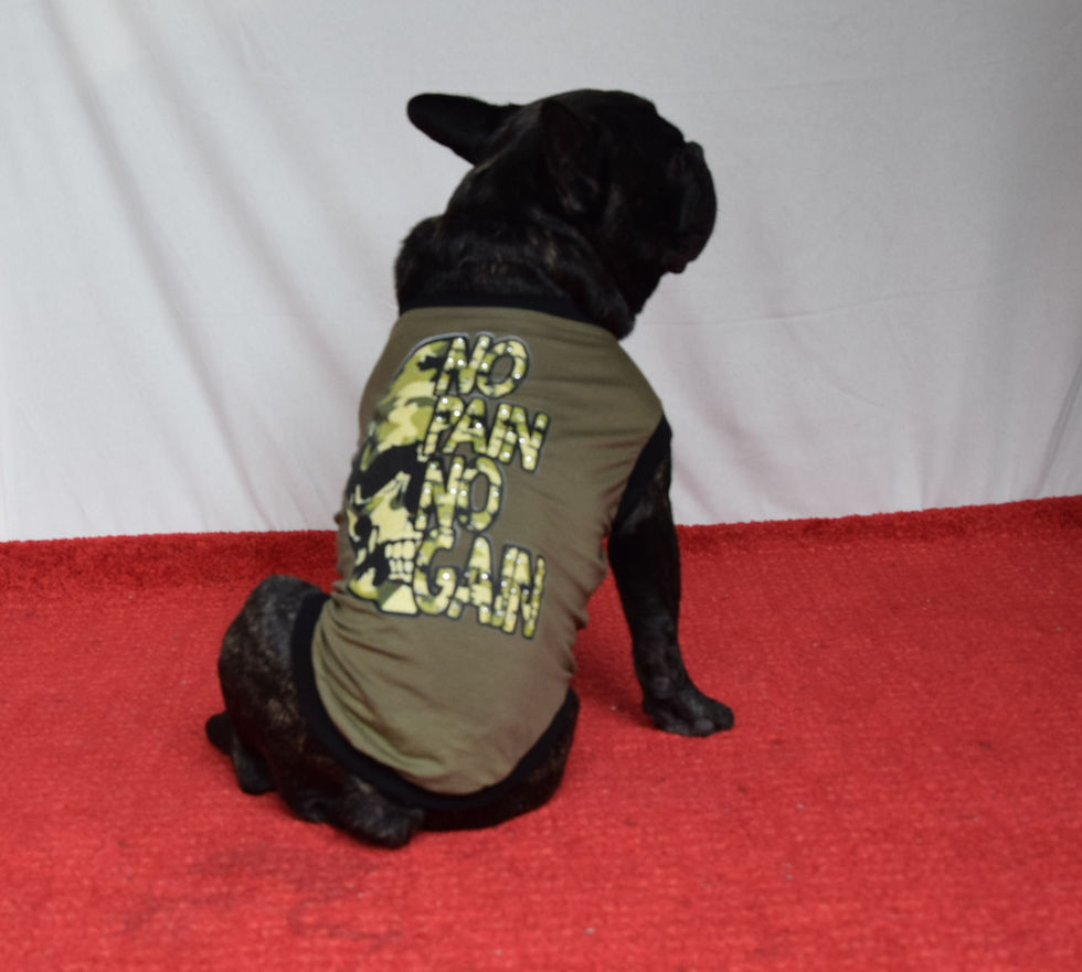 T-SHIRT NO PAIN NO GAIN