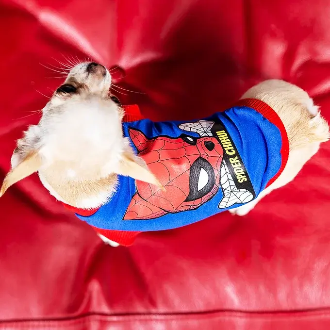 T-SHIRT SPIDER CHIHUI