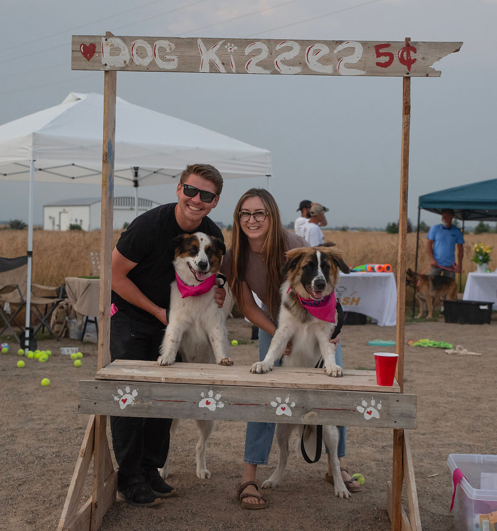 _DSC2345copy