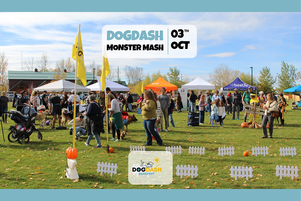 DogDash Monster Mash 2026