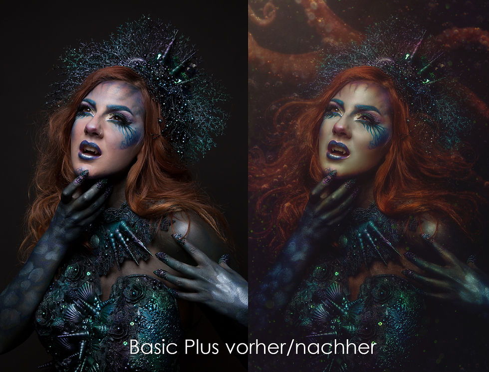 Miniaturbild: Zusatzbilder /Additional Pics