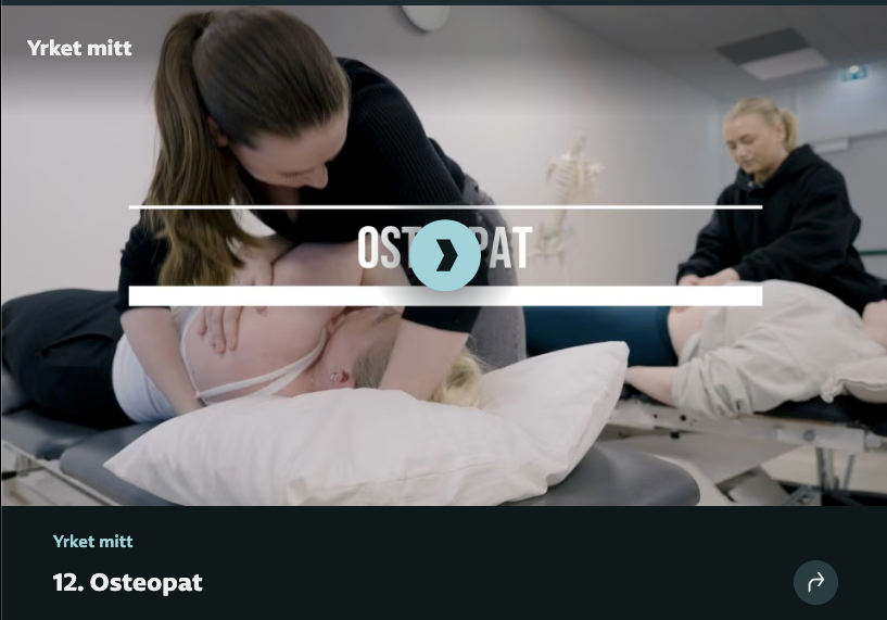 Osteopati, Mitt yrke
