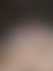 Nous vous dévoilons les couronnes régionales de la catégorie Miss !