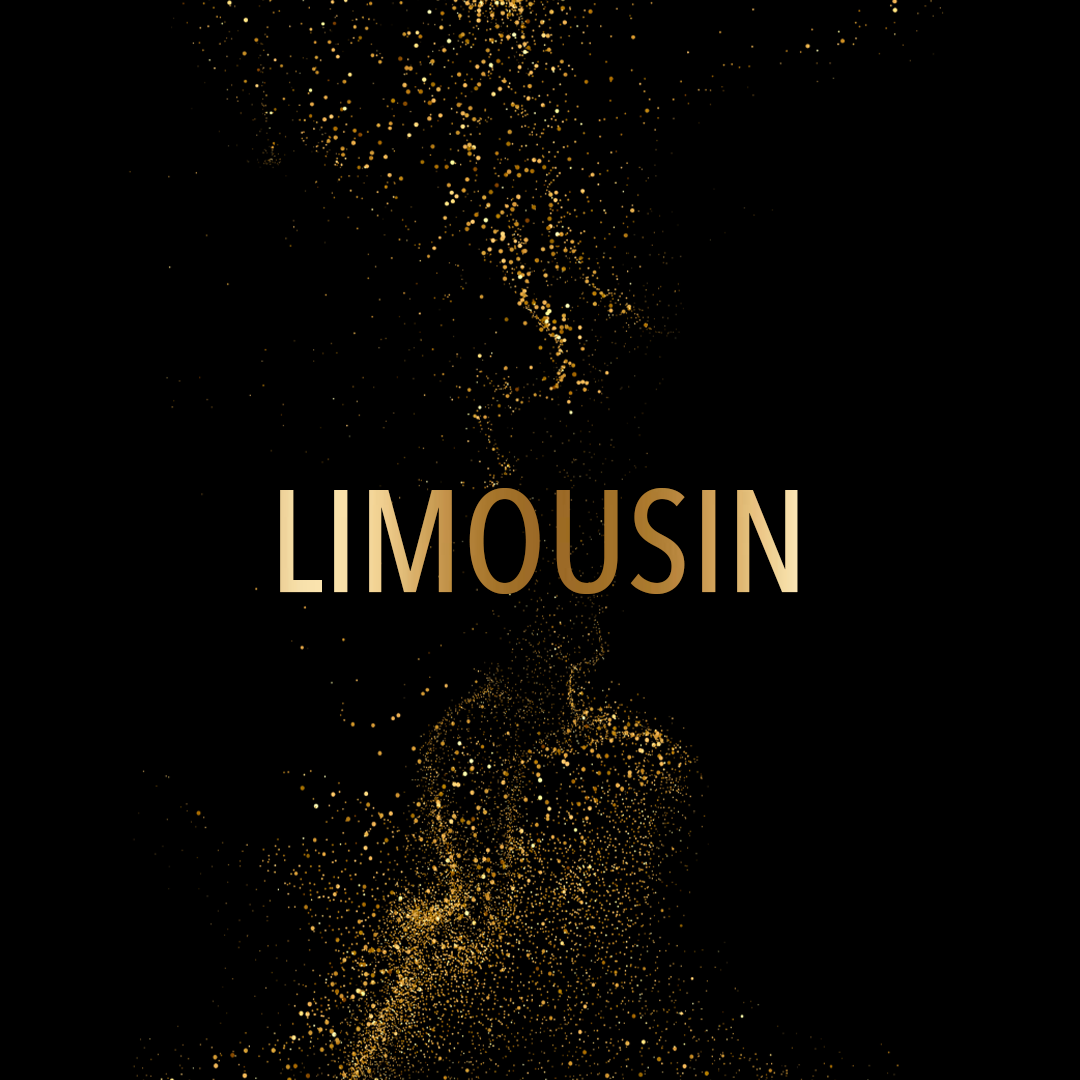 Limousin - Louise HOAREAU