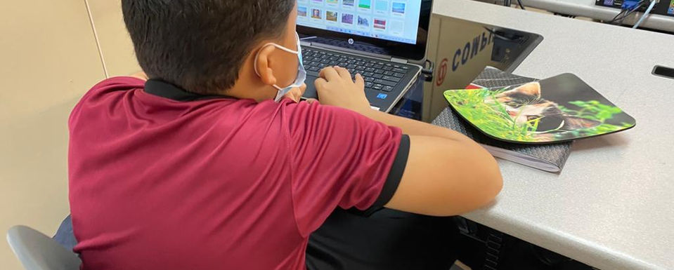 b1619978-f4e5-4fa1-8029-75618741a166.jfif