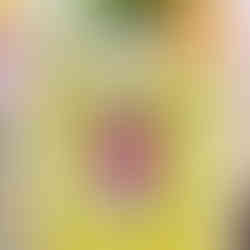 Strawberry macrame wall hanging