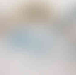 How to embroider the buttonhole stitch