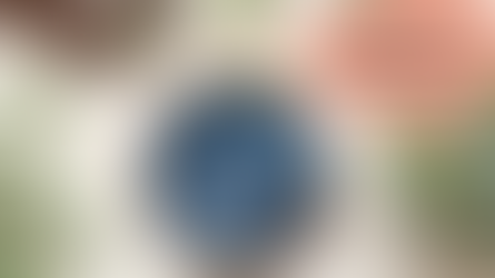 Stitch Cyanotype Florals with this New Beginner Embroidery Kit