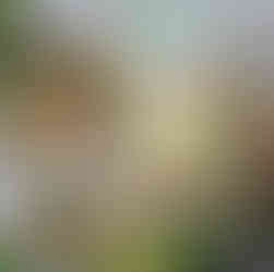 Arrows Aim Greenhouse inside