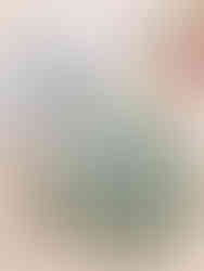 Add embroidery to anything! Peel Stick and Stitch embroidery patterns are a fun way to explore embroidery without all the hand holding of an embroidery kit. Choose your own stitches, thread colors, and designs with these easy to use water-soluble patterns.