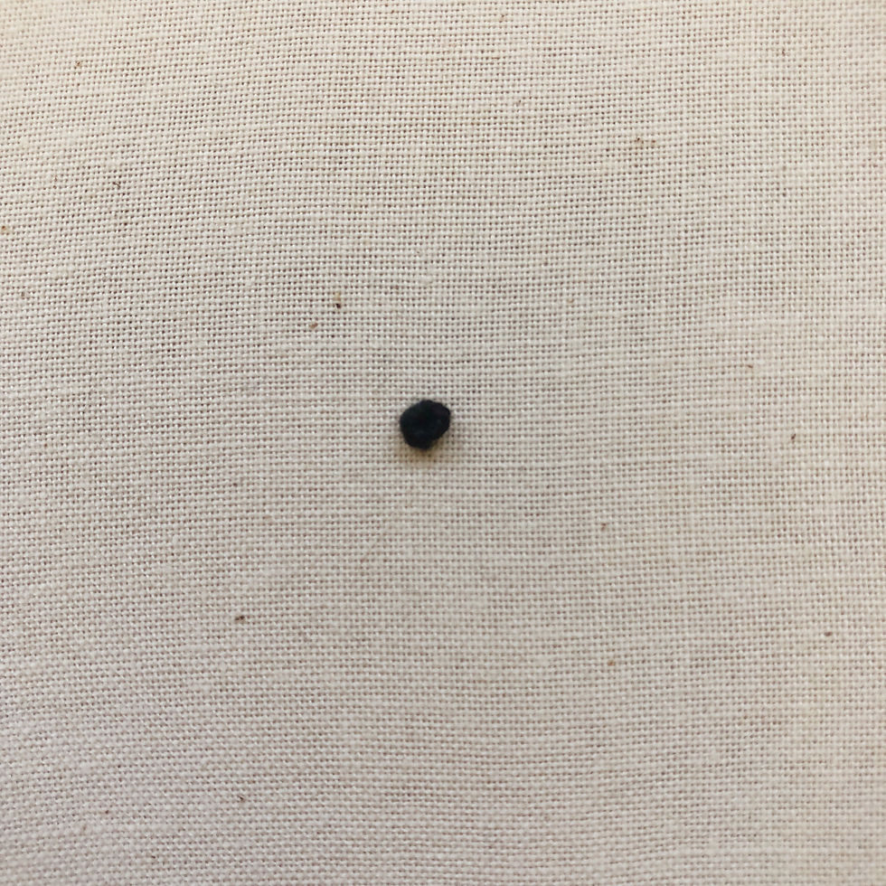 colonial knot