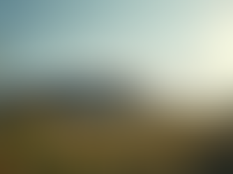 Politische Entwicklungen: Eine kritische Analyse