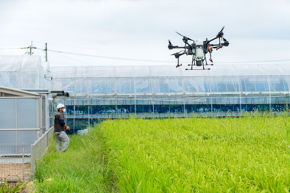 AdobeStock_529203512