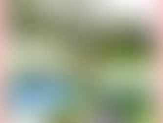 ウクライナサポートDayの報告