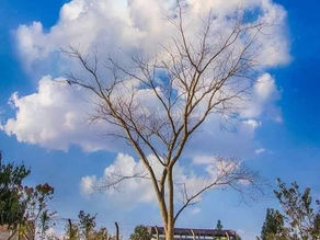 呼吸法と瞑想のクラス