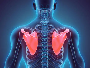 今月のテーマは”肩甲骨”