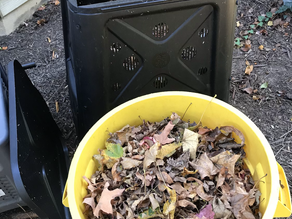 コンポスト日和