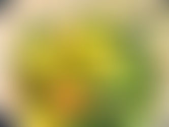 口にするモノは全て自分への投資