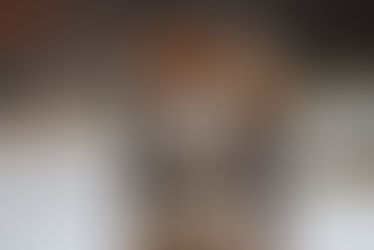 24.04.2025 Shiba puppies »