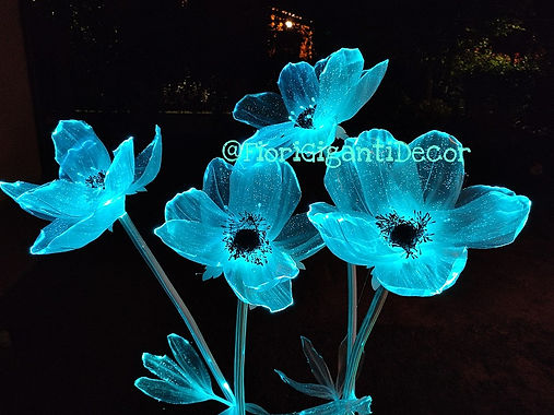 fiori luminosi