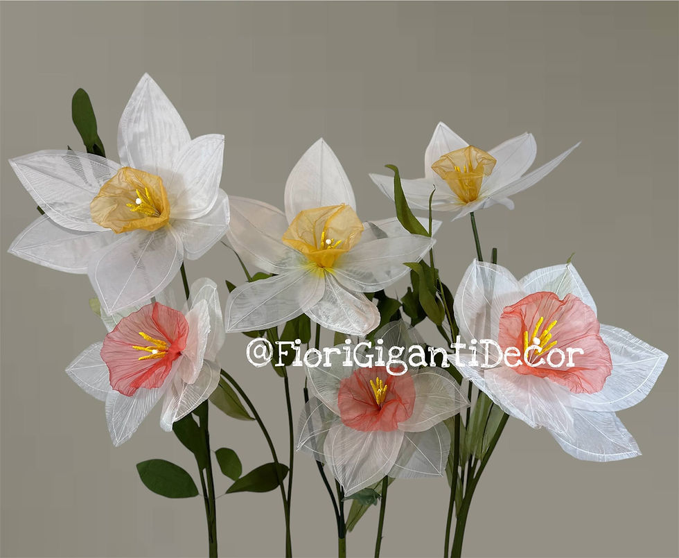 narcisse