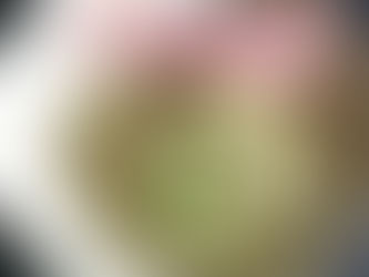 Duo de spaghetti quinoa & courgettes